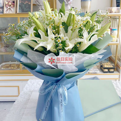 包头8支白色多头百合洋甘菊，互倾的思念