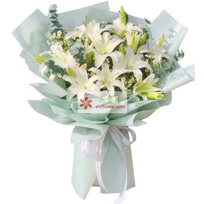 包头6支白色多头百合，温馨的祝福