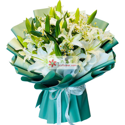包头8支白色多头百合洋甘菊，如潮的思念