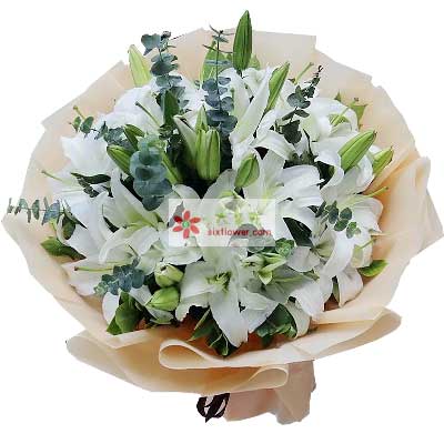 包头9支白色多头百合，祝福你幸福